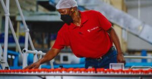 Cómo conseguir un puesto corporativo en Coca-Cola: Todo lo que los profesionales deben saber